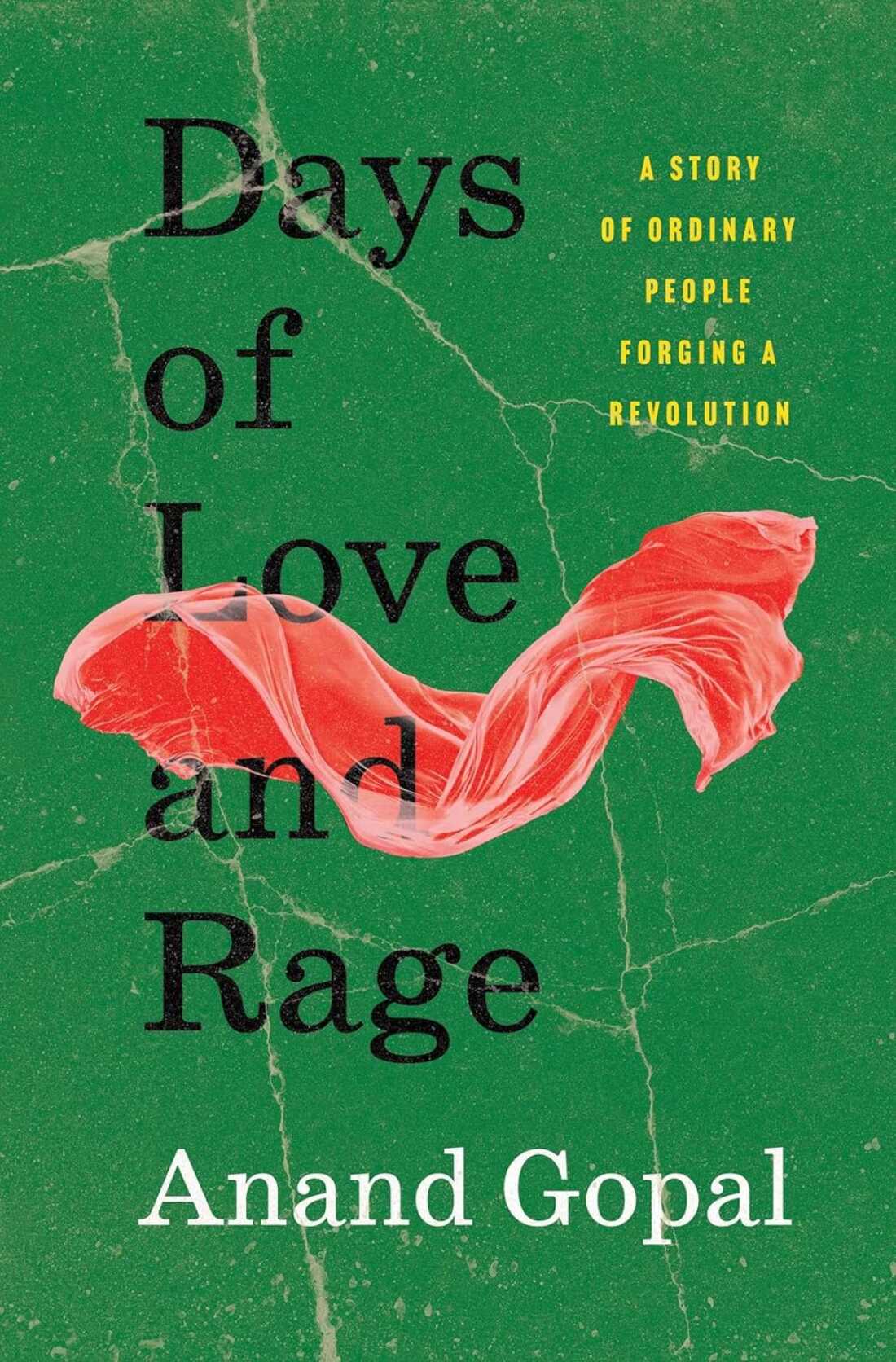 Days of Love and Rage, by Anand Gopal