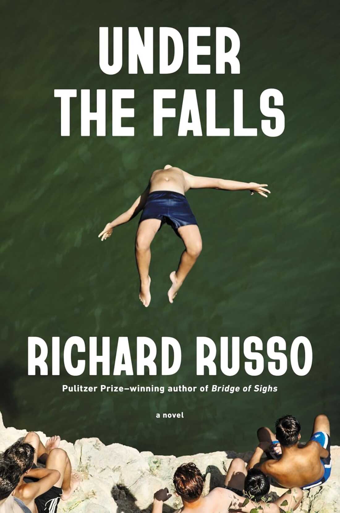 Under the Falls: A Novel by Richard Russo