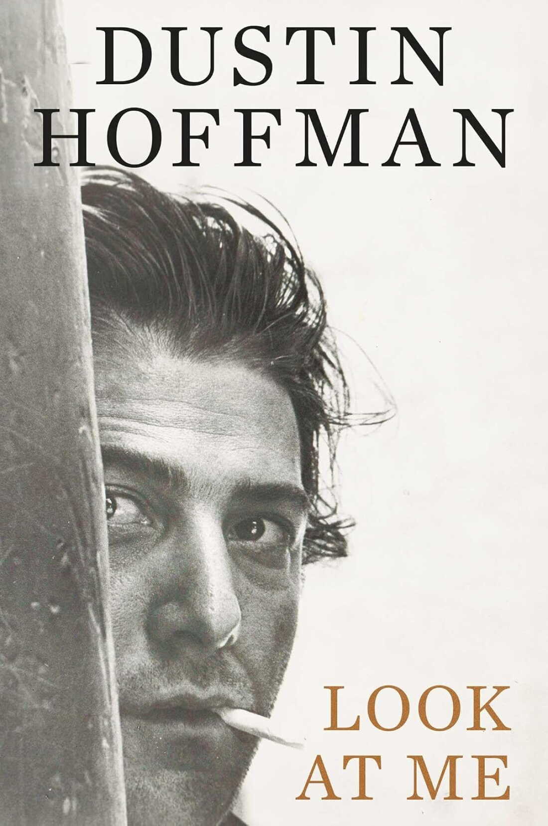 Look at Me by Dustin Hoffman 