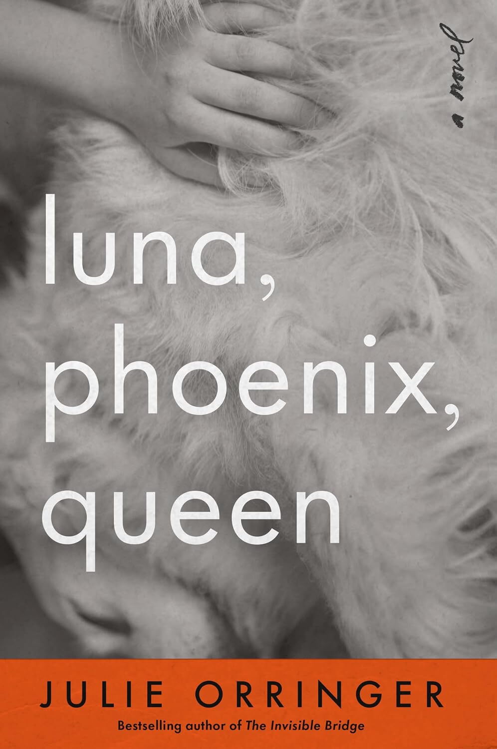 'Luna, Phoenix, Queen' is a masterfully plotted, gorgeously moving novel