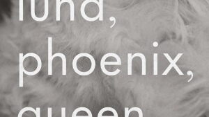 Cover of Luna, Phoenix, Queen