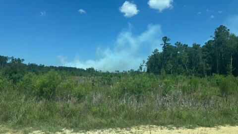 Smoke from the Horse Island Fire rises above vegetation.
