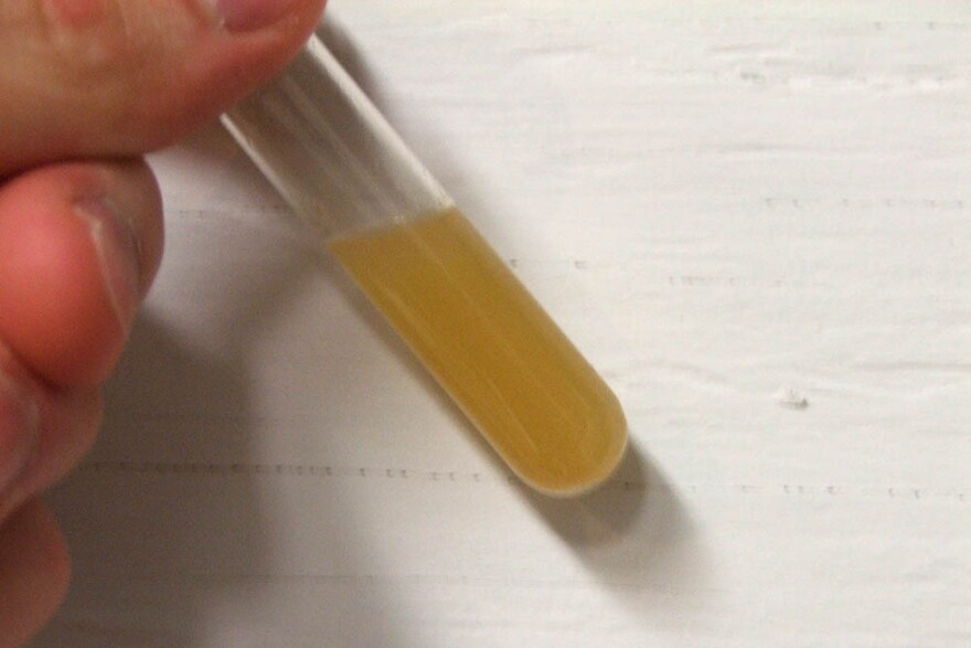 High manganese levels turned its water yellow, but Altus officials say