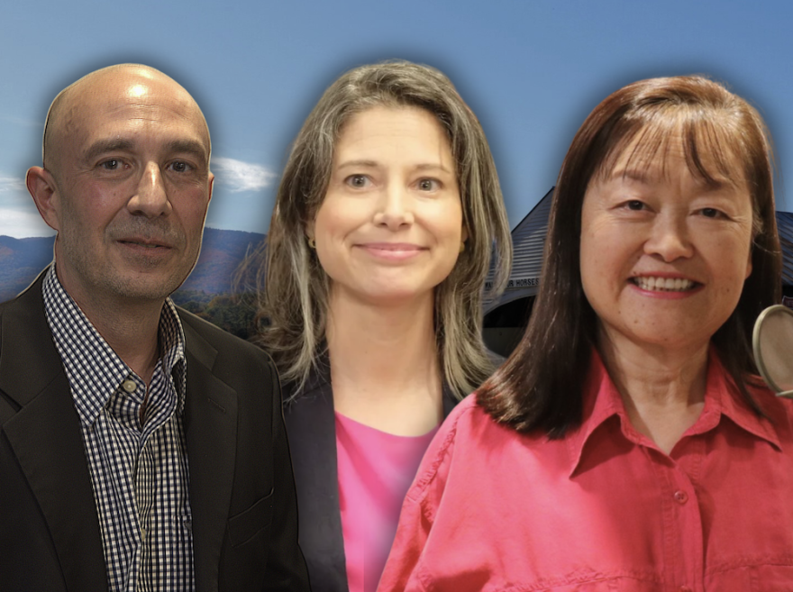 Robbie Mahrou, Maggie Goodlander and Lily Tang Williams are vying for New Hampshire's 2nd Congressional District.