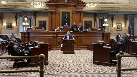 S.C. Sen. Everett Stubbs, R-York, explains the K-12 public school and college and university bathroom use bill inside the Senate chamber on Wednesday, March 25, 2026.