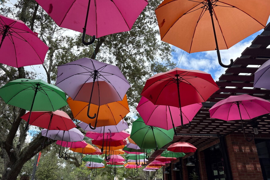 Colorful umbrellas hang outside KavaGator near Bo Diddley Plaza in Gainesville. Café owner Julia Brensel said she calls downtown ambassadors when an umbrella turns upside down and she cannot fix it herself. “They will come in and fix it,” she said.