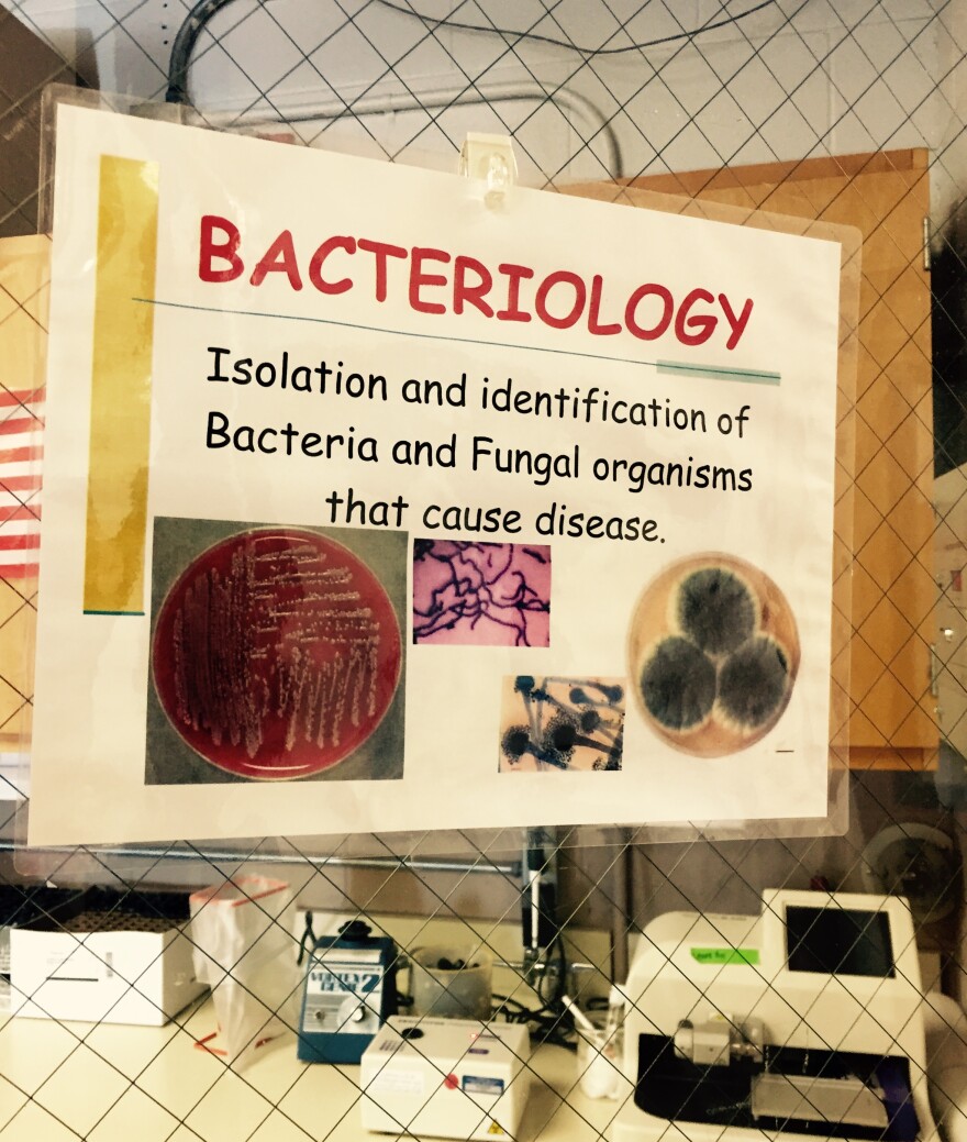 livestock-antibiotics-bacteriology.jpg