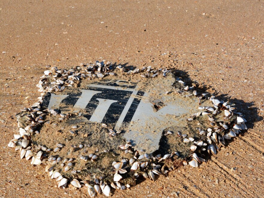 A piece of engine cowling covered in barnacles recovered from a South African beach. Debris such as this has led to a revision of the search area.