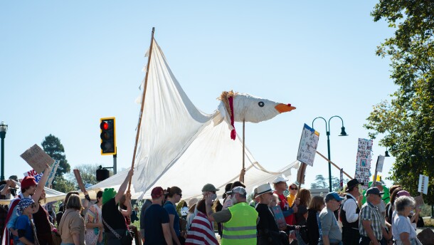 Protesters carry a giant white dove puppet through a crowd holding signs. The puppet has outstretched fabric wings and is supported by five people. 