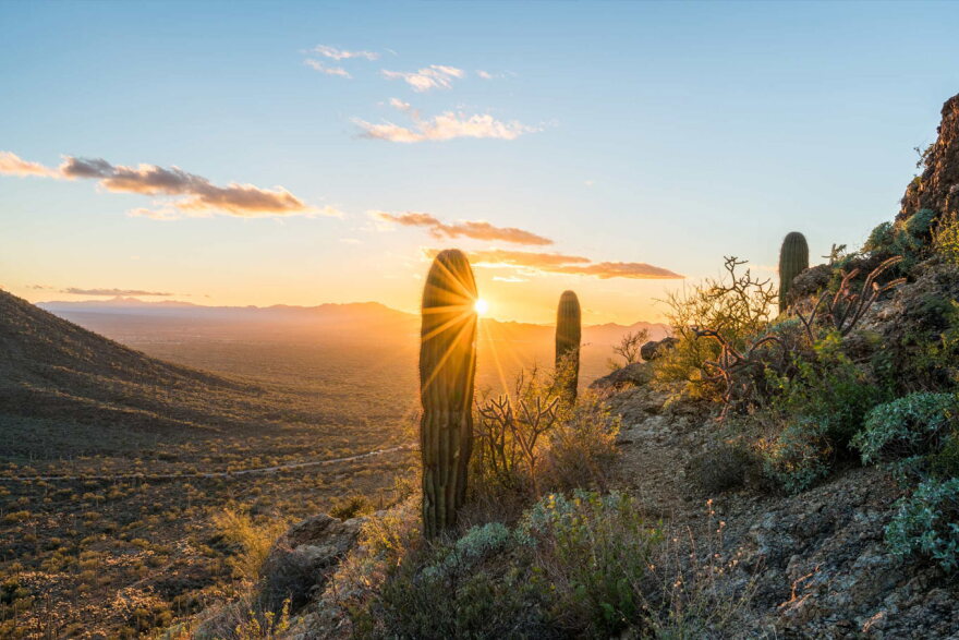 Sonoran desert Sunrise in the Gates Pass.