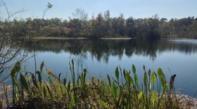 Waterways such as this lake in the Hampton Tract Preserve are managed by the Southwest Florida Water Management District