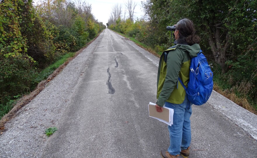 Medhavi Ambardar with the Lake Michigan Bird Observatory watches and listens for bird activity just west of the Port Washington data center site.