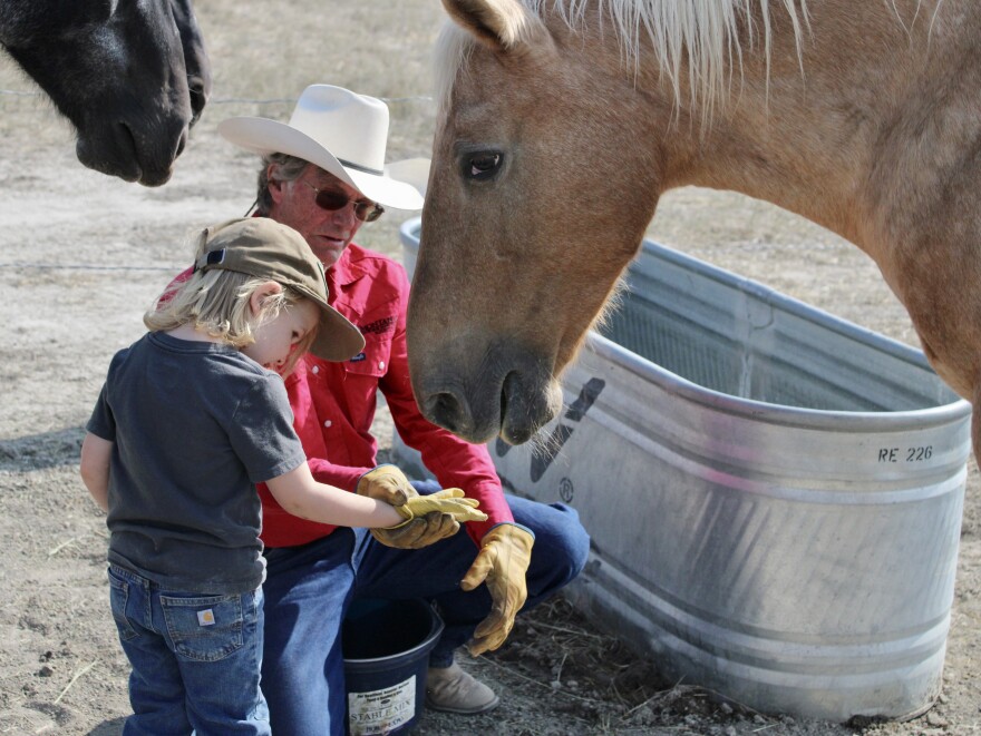 Jim Jones with Montana’s Wild Horse Sanctuary helps Henry Bridge feed hay to the sanctuary’s residents on Sept. 5, 2025.