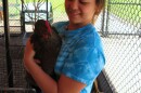 Kaila Nong is among three chicken stewards who take care of the Maplewood Richmond Heights School District's 16 chickens.