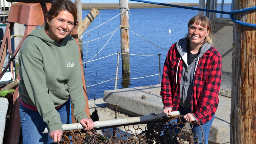 Gretchen (left) and Bridgitte Maxwell, aka "The Oyster Sisters," are sixth-generation heirs to a company that produced a disease-resistant oyster. They are the first female employees to work the water since the business launched in the 1840s.
