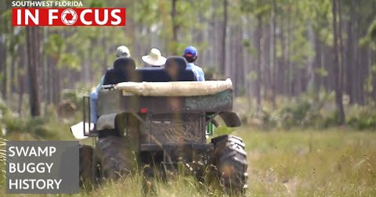 The generational joy of the swamp buggy