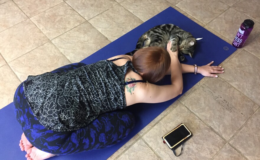 Thomas has only one cat, a female ginger who doesn't like others, so the yoga class is a good way for her to enjoy the company of other cats.