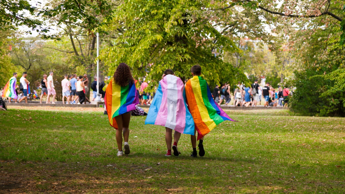 Leon is among the Florida school districts adopting LGBTQ guidelines - Vimarsana News