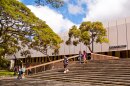 UH Mānoa students around the Hamilton Library.
