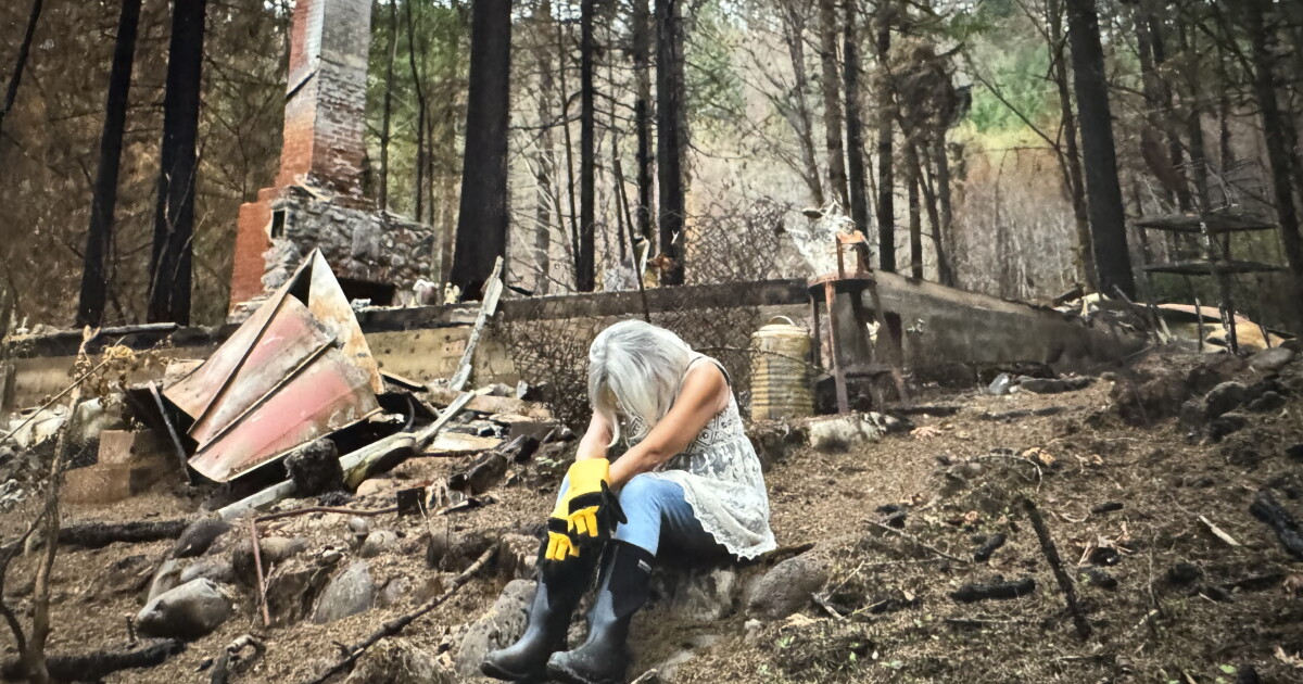 Survivors experience delayed grief and emotional recovery 5 years after ...