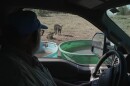 Scott Snyder checks to see how much water his cows have, July 16, 2026 near Montrose, Colo.
