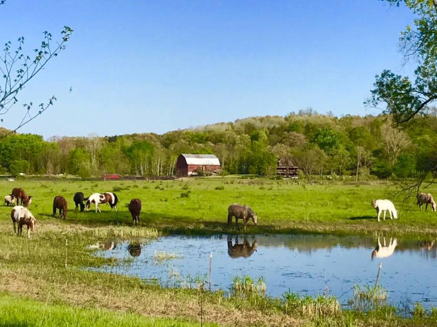 Roanoke Ranch