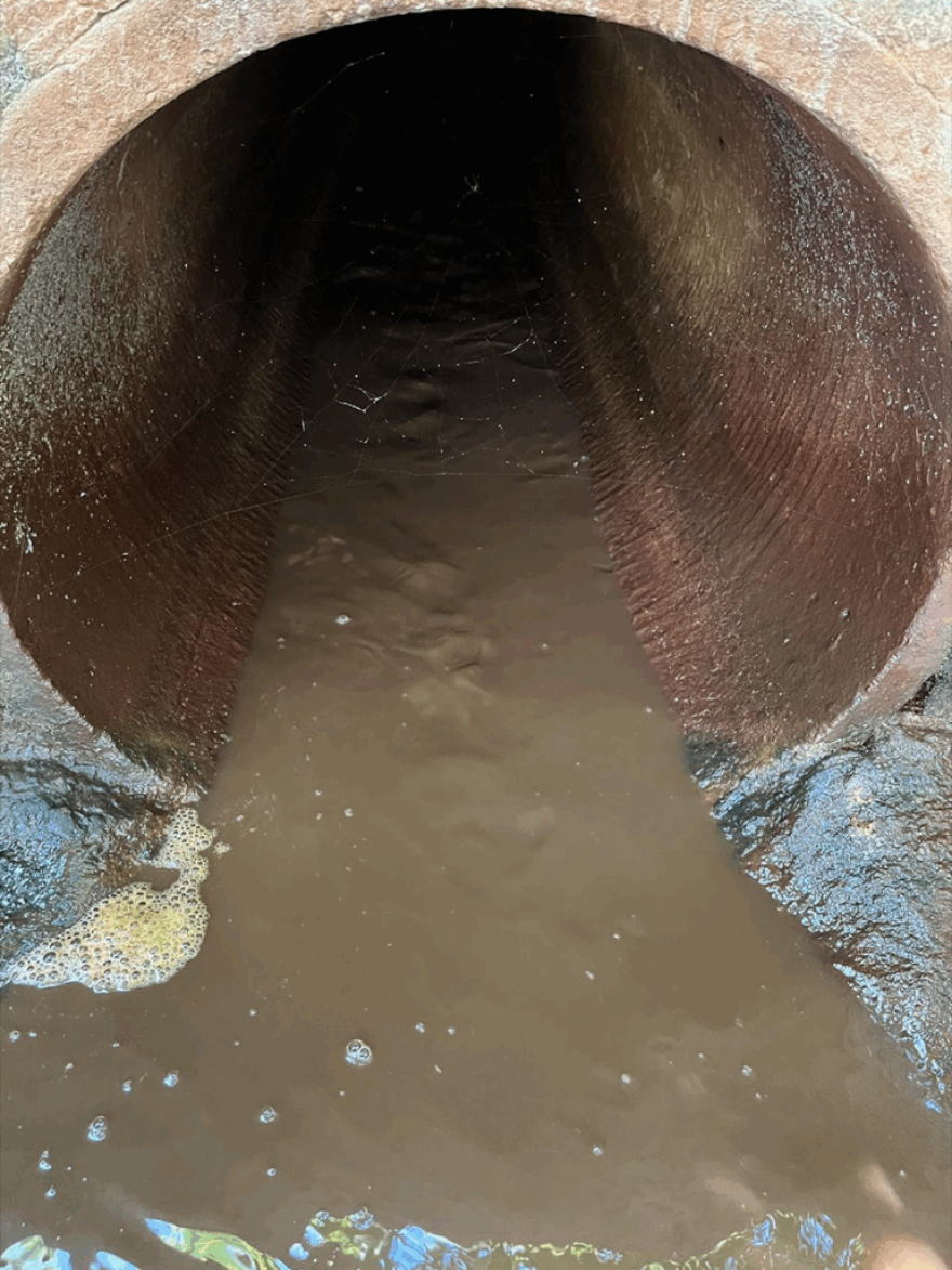 Solid material could also be seen flowing from the outfall into the Tar River.