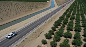 A vehicle drives by an almond orchard in Firebaugh, Calif., last year. City manager Ben Gallegos told NPR he doesn't want small cities like his to be overlooked as California prepares for a potential megastorm, a weather event made more likely by climate change.