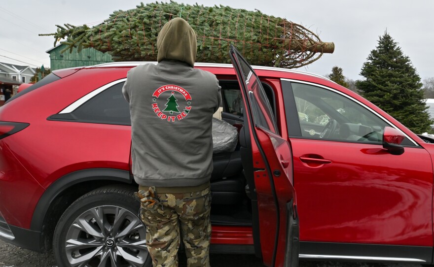 Jason Kline secures a Christmas tree to the roof of a customer's car.