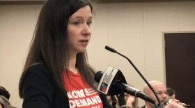 Bloomington resident Courtney Dailey is one of several members of Moms Demand Action who showed up at a House committee to oppose a gun bill.