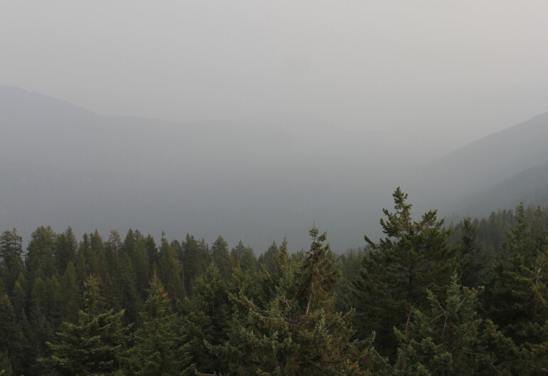 A smokey forest in north Idaho