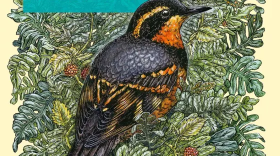 Bird Note