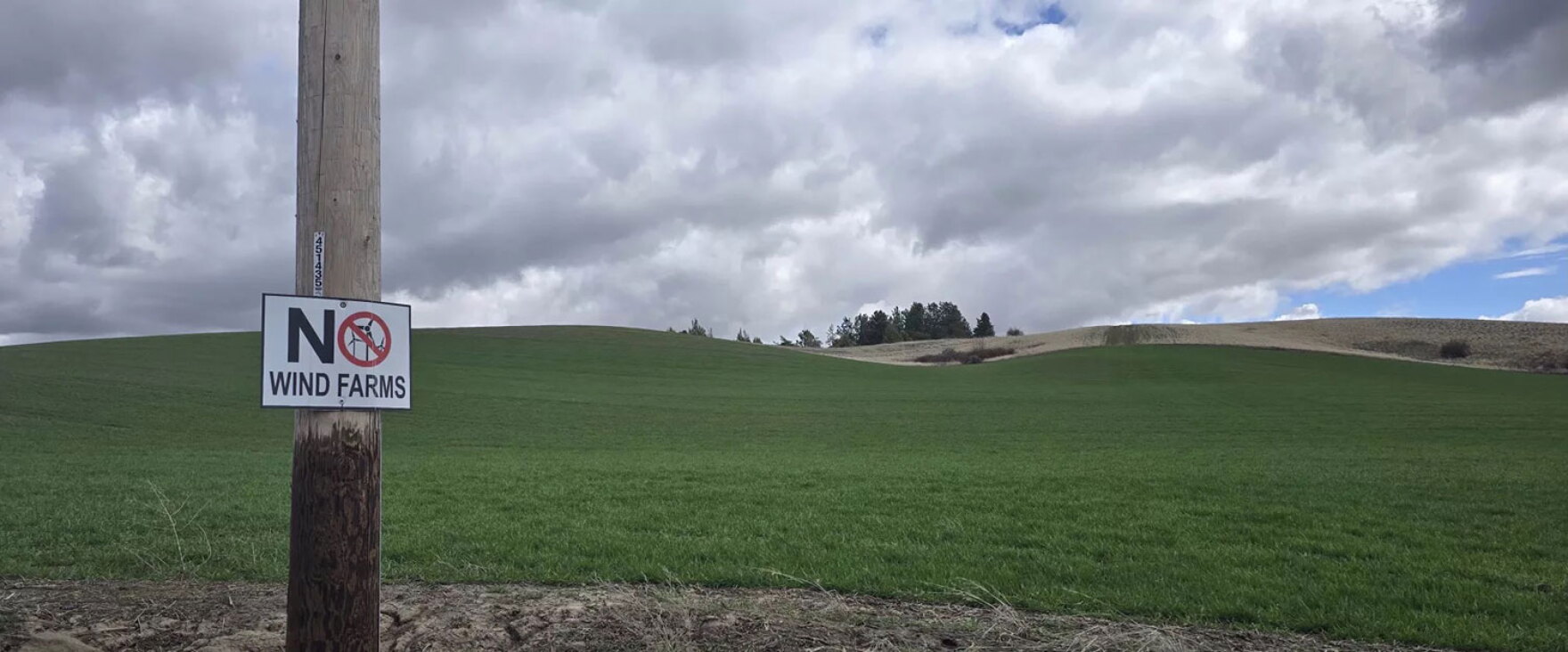 Tracci Dial What’s next for the Harvest Hills Wind Project on the Palouse