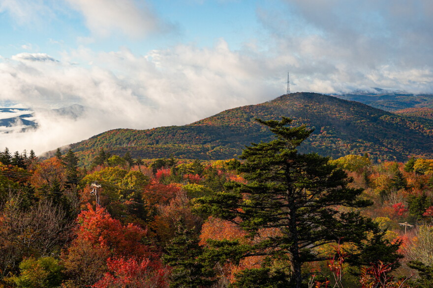 View of Grandmother Mountain from Grandfather Mountain.