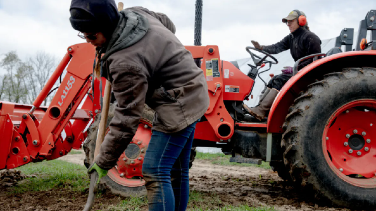 Connecticut farmers have a wish list. New Farm Bill could help - Vimarsana News