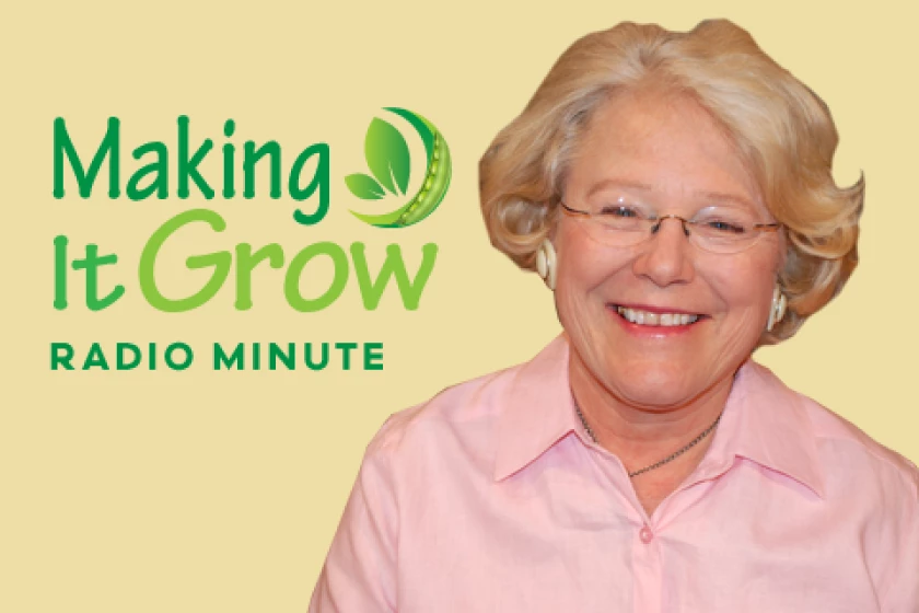 Making It Grow! Minute logo
