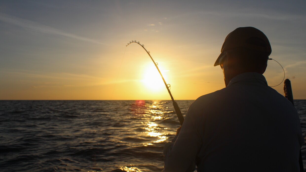 (Rylan DiGiacomo-Rapp/WUFT News)