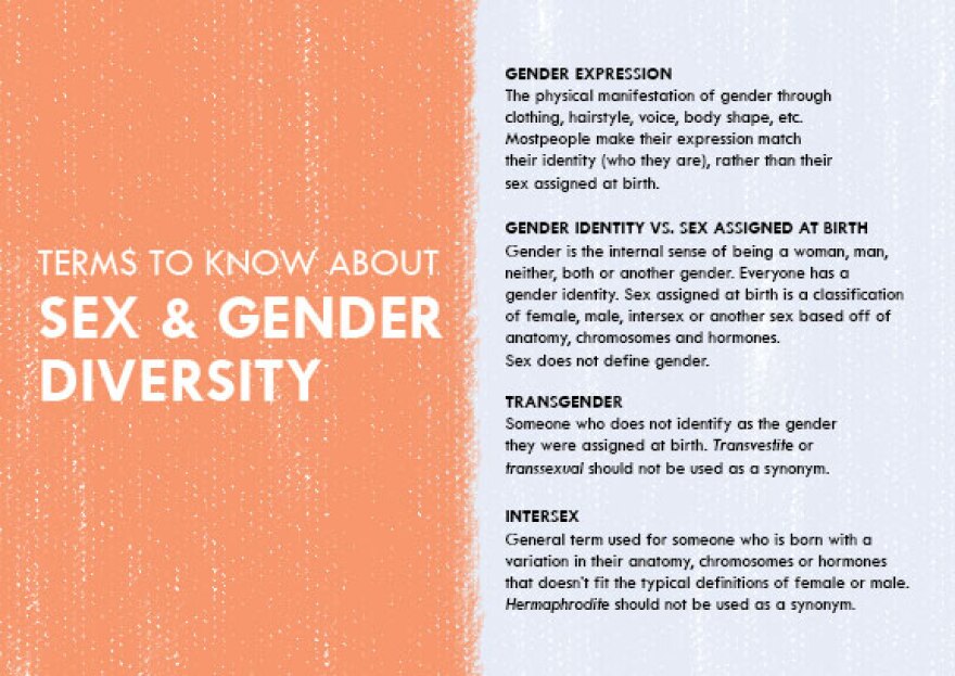 Definitions of terms related to gender and gender identity.