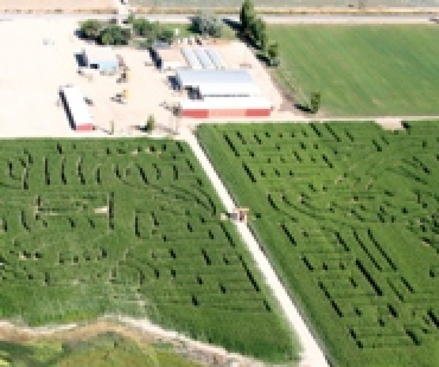 Charlie Black's farm in Syracuse, Utah