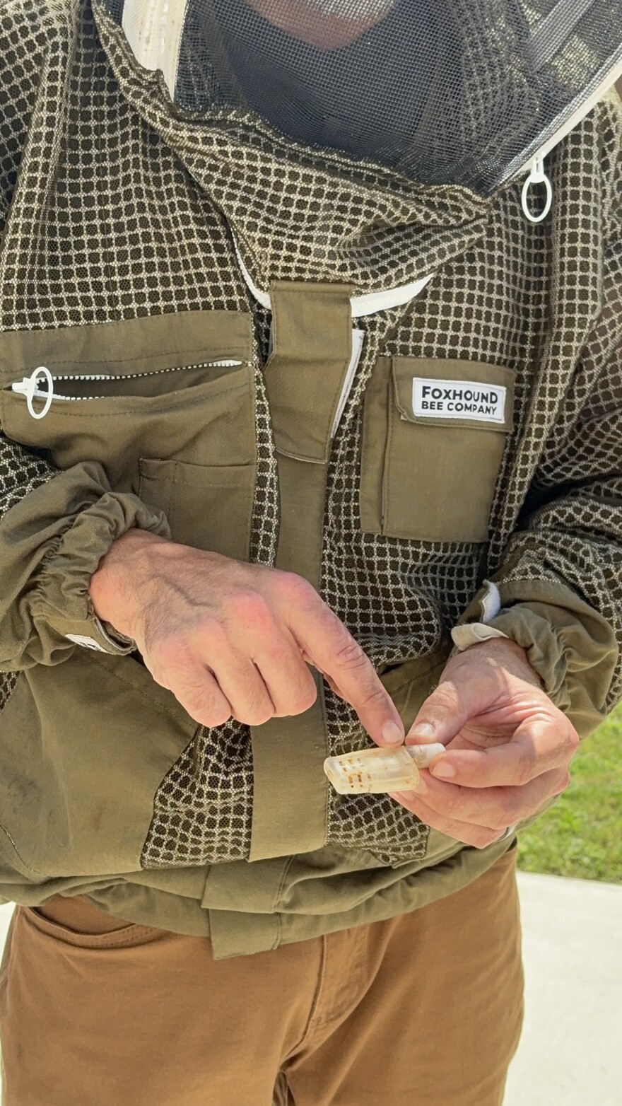 Beekeeper Adam Hickman shows a small plastic cage which holds a queen bee.
