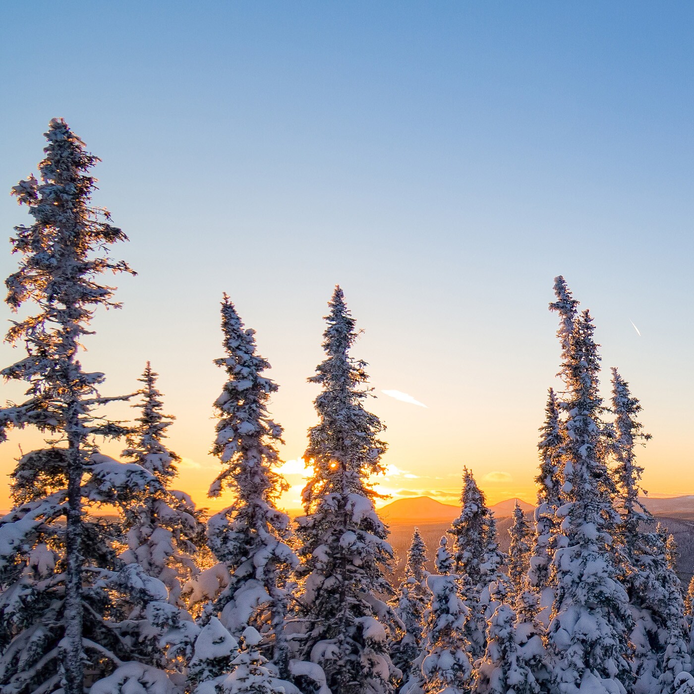 A Winter Solstice Vignette