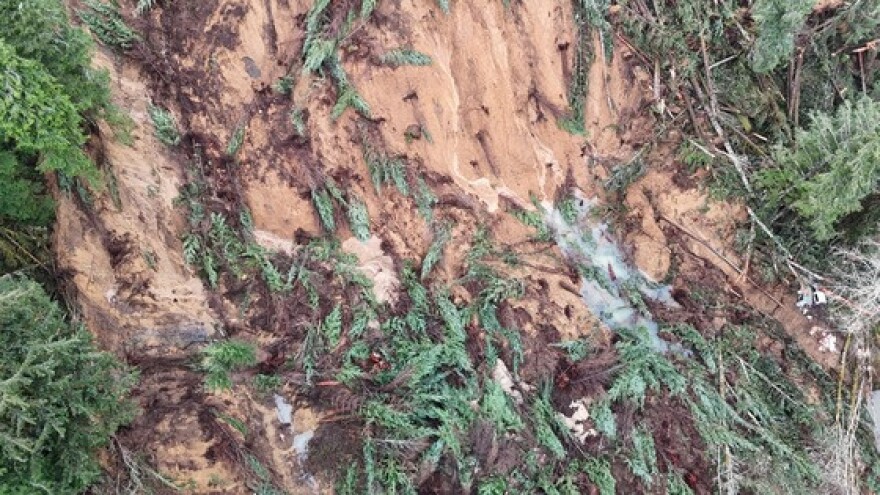 Highway 229 landslide showing the massive debris field and areas of pooling water that remain at the site.