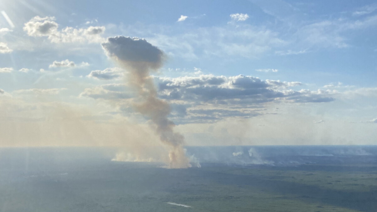 Sandy Fire containment at 52%; evacuation plan is rescinded - Vimarsana News
