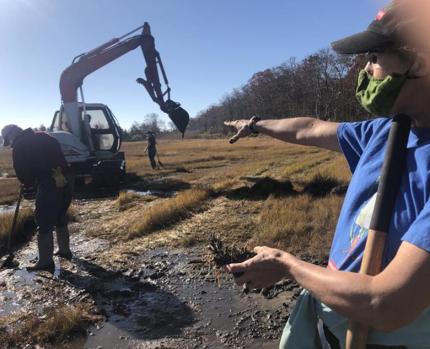 Wenley Ferguson works with team members to dig runnels.