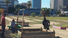 Native Health garden bed