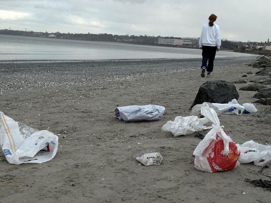 Each year the city collects data from a routine beach cleanup, which showed that straws specifically were the fifth most common object to be found on beaches, with plastic utensils sliding into sixth place.