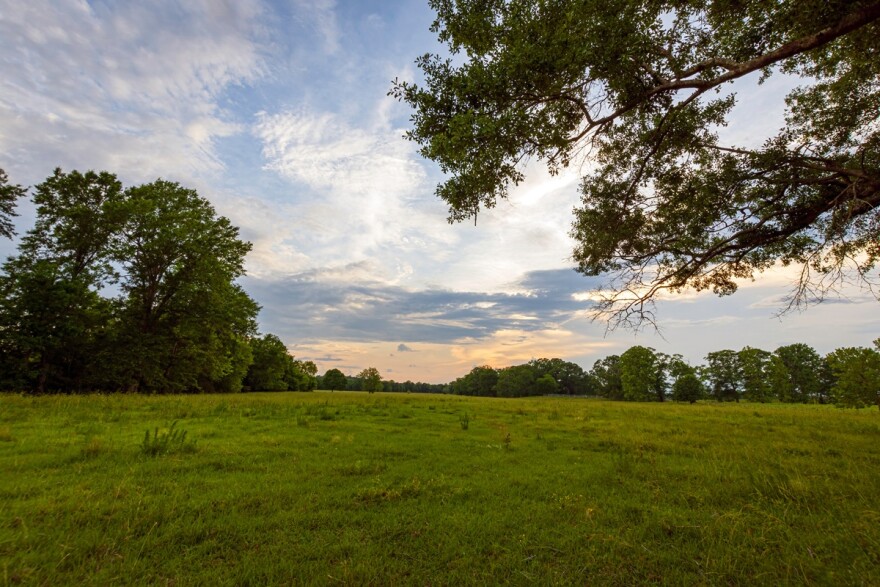 Peaceful country sunset with open pasture 