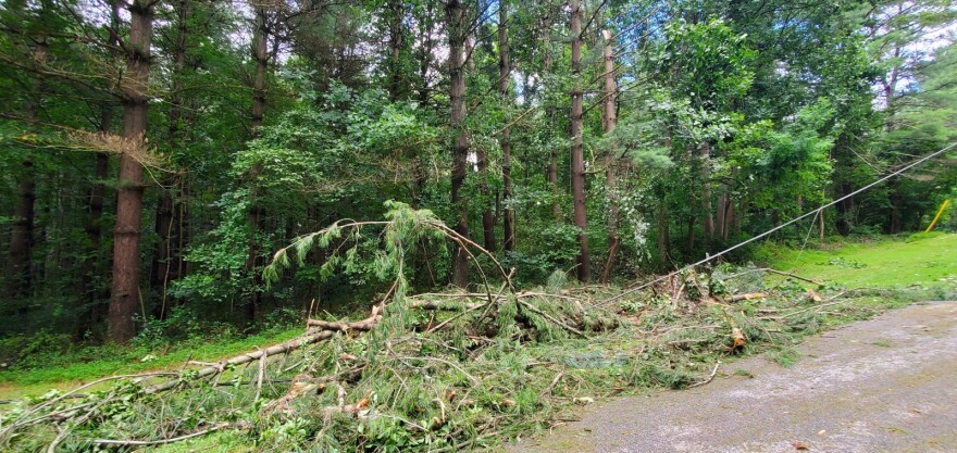 A powerful storm swept through Baltimore County last night, (8/7/230 leaving debris. Trees, power lines & roads have been affected.