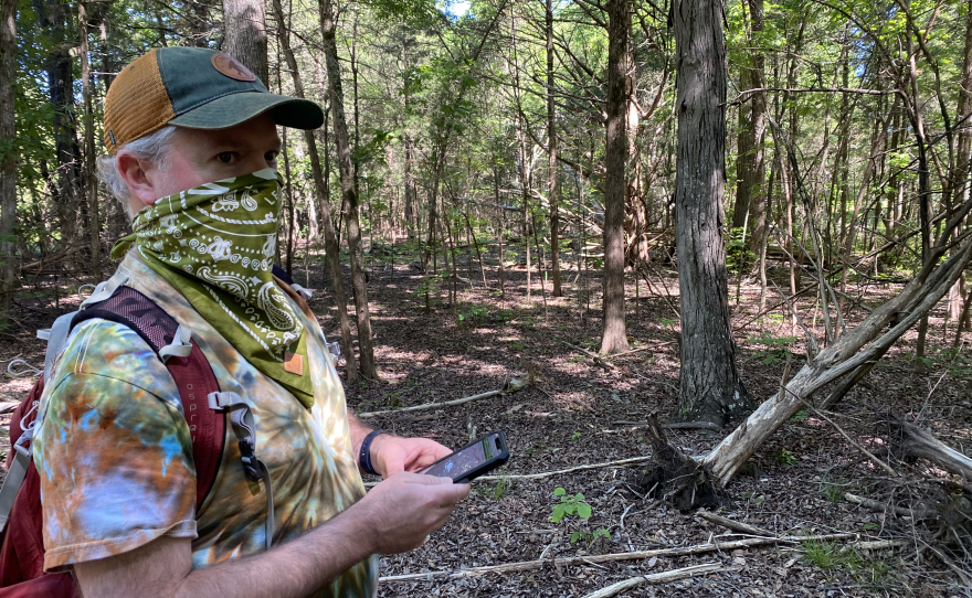 Brett Dupree searches for the overcup oak near McDowell Nature Preserve