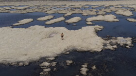 FILE - Olof Wood walks across reef-like structures called microbialites, exposed by receding waters at the Great Salt Lake, Sept. 6, 2022, near Salt Lake City.